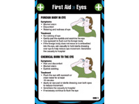First Aid Pocket Guide  Eyes
